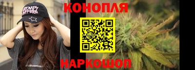 стафф Заводоуковск