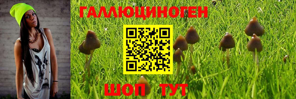 Псилоцибиновые грибы MAGIC MUSHROOMS Лабытнанги